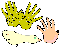 Bird hands and feet